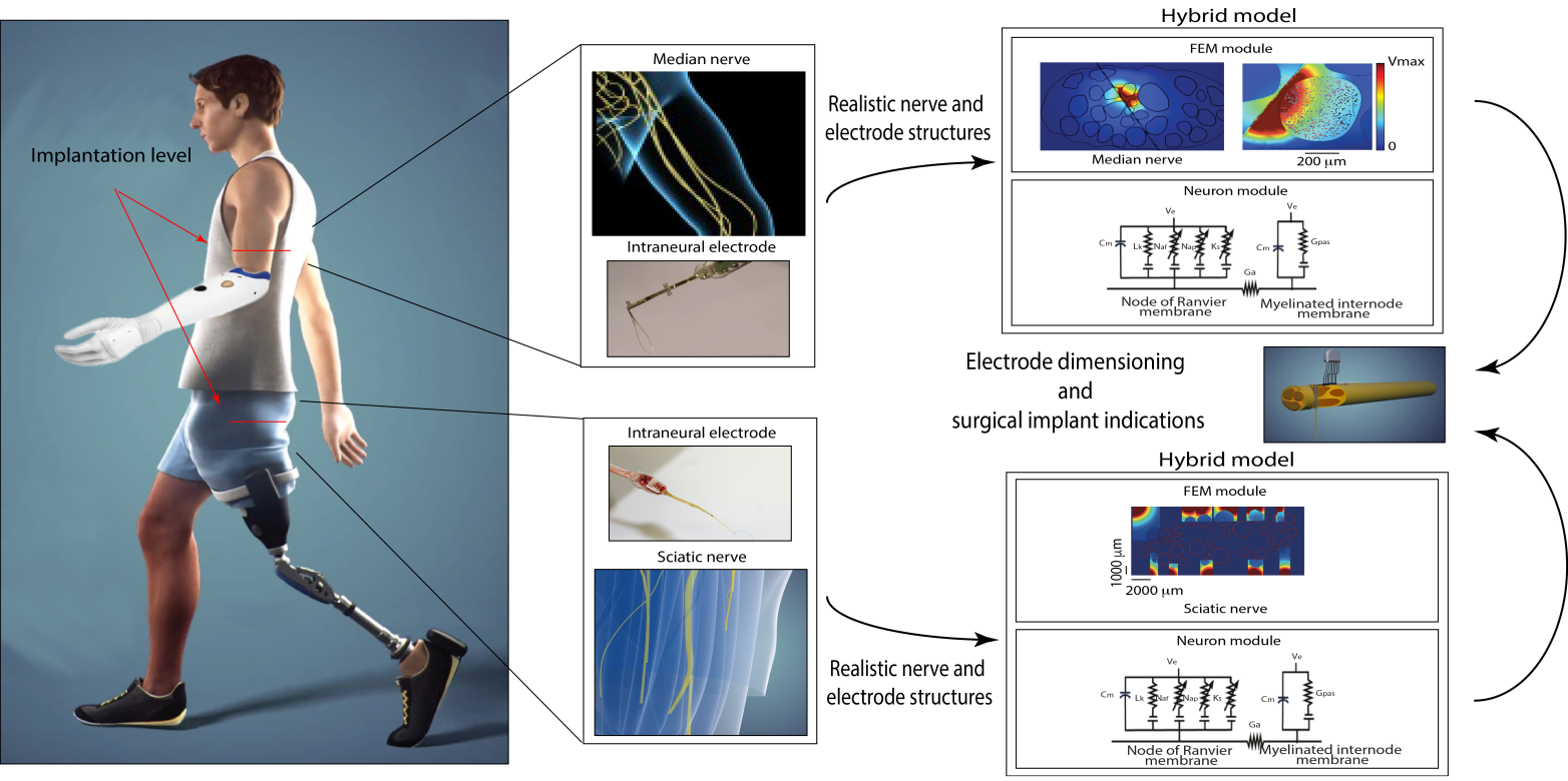 Homepage – Neuroengineering Lab | ETH Zurich